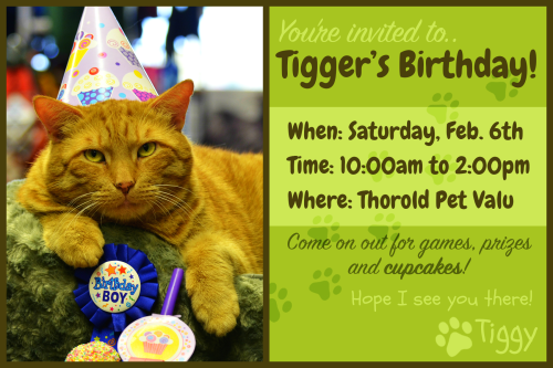 Tiggy_Birthday