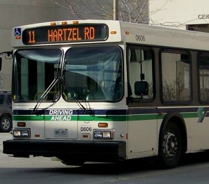 transit-bus-pic-file-photo