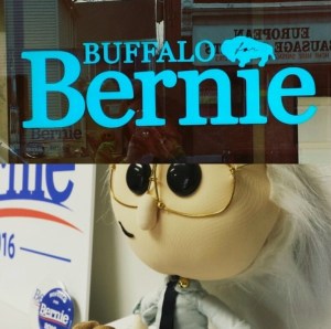 buffalo for bernie