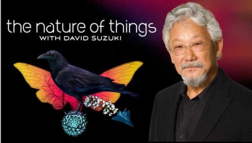 suzuki nature of things