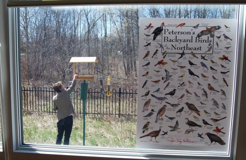 Brock University researcher Kerrie Pickering fills a bird feeder at the Woodlands of Sunset long-term care facility in the Niagara community of Welland, Ontario