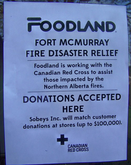 foodland poster one