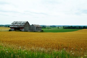 A farm in Ontario's protected Greenbelt zone