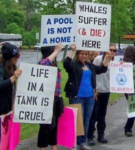 Demonstrating in front of Marineland in Niagara Falls, Ontario. File photo by Doug Draper