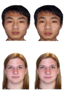 These photos were used in the experiment to test participants' abilities to distinguish faces. In each face pair, the features of an identity were undistorted in image (left) and either compressed or expanded in the other.