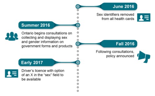 Timeline for changes to Public-Facing Government Forms and Products