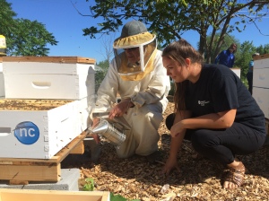 Environmental Technician student Christine Combe checks out beehives at Niagara College’s new apiary, with the help of Dennis Edell, director of the Ontario Beekeepers’ Association. Photo courtesy of Niagara College