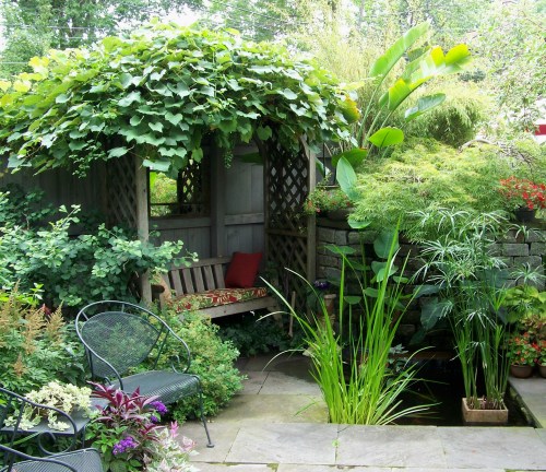 garden walk buffalo backyard-garden-walk