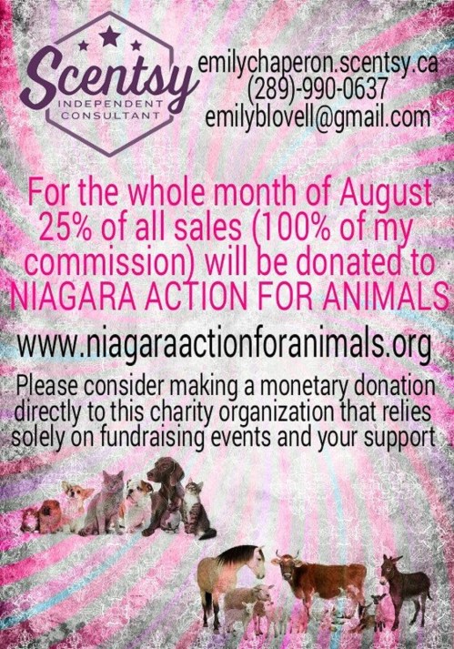 Scentsy NAfA Fundraiser