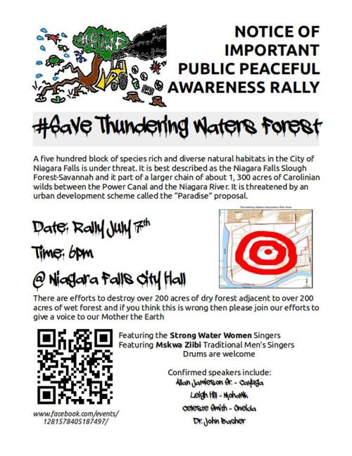 thundering rally poster