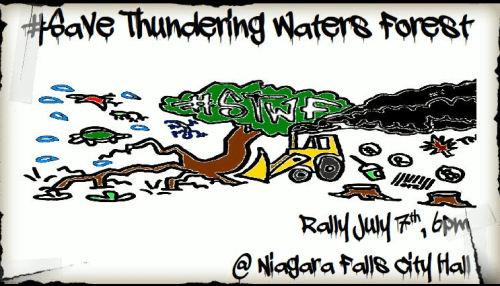 Join the Thundering Waters 'public awareness' rally in front of Niagara Falls City Hall this July 7th at 6 p.m. Be there and show you care about protecting what is left of Niagara's natural heritage.