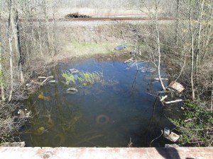 Trash choking pond in Thundering Waters Forest area in Niagara Falls, Ontario poses harm to rare species living there. Photo courtesy of Greening Niagara