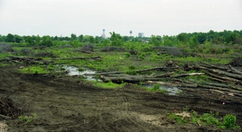 A news photo of some of what was left of a sprawling forest off Oldfield Road in southwest Niagara Falls, Ontario in 1992. This clear cut by developers played a role in driving the Ontario government to pass tougher tree cutting legislation in the province. File photo