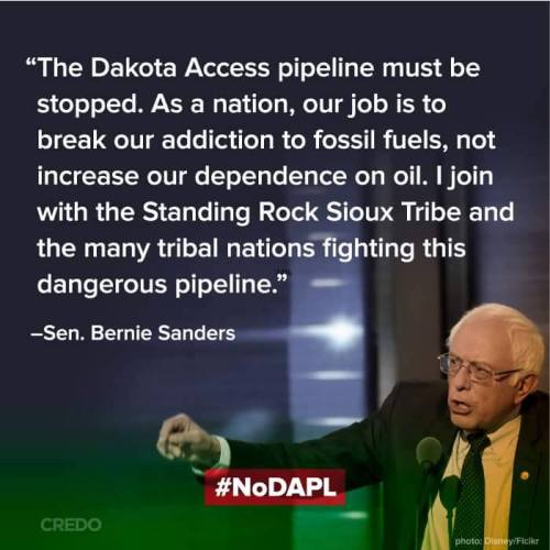 bernie-on-pipeline-fight