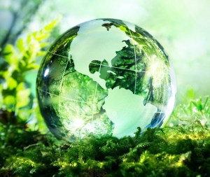 glass planet in a forest with sunshine - Usa map