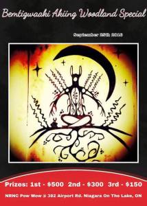 Click on this image to enlarge. All artwork for images in this post by Nyle Johnston