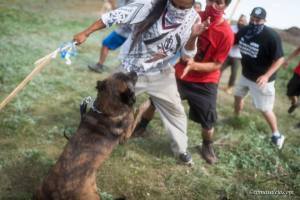 Private security contractors for oil pipeline company recently wade into Native protesters with attack dogs and pepper spray.