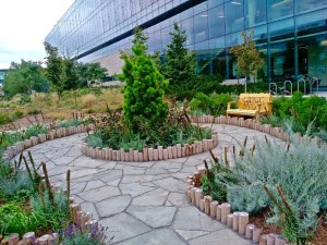 The Healing Garden to be officially opened at Brock University this October 4th.
