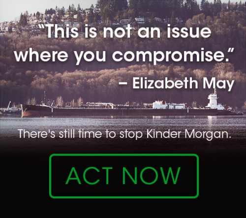 kinder_morgan_approved_email