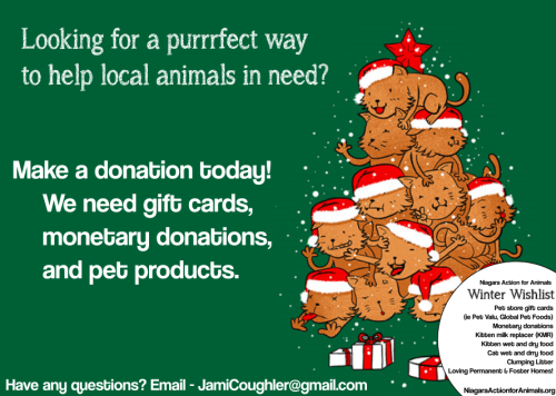 nafa-giftcards-forjami