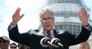 U.S. Senator Chuck Schumer of New York and Senate minority leader also vows to do everything he can to stop Trump rip up 'Obamacare'.