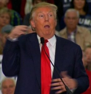 Donald Trump, at a rally in South Carolina last year, making mocking movements of New York Times reporter Serve F. Vovaleski, who suffers from a congenital joint condition.
