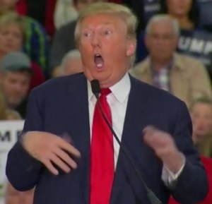 Trump continues his mocking gestures to cheers from his supporters