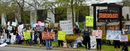 A weekend protest rally in front of Marineland in 2016. File photo by Doug Draper