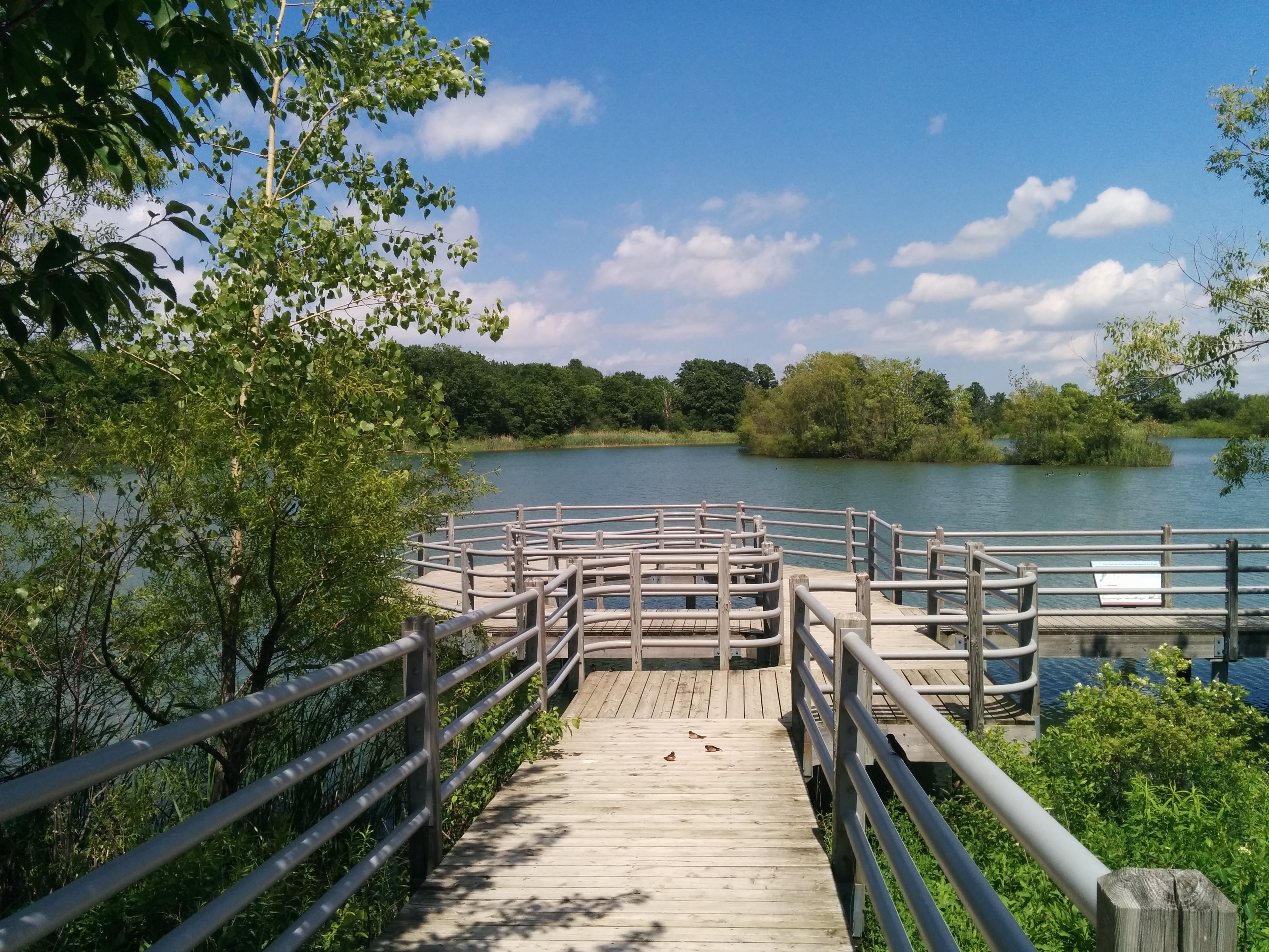 Celebrating an Environmental Success Story in Niagara | Niagara At Large