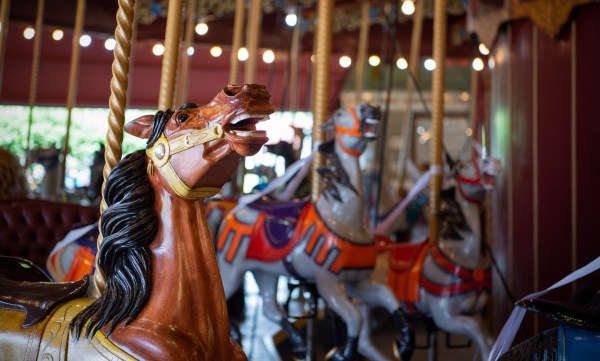 Fun Fall Things To Do At The City On The October Long Weekend | Niagara ...